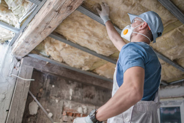 Best Insulation for Specific Applications in Wilmer, TX