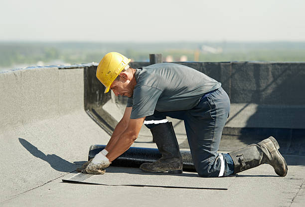 Best Insulation Maintenance and Repair in Wilmer, TX