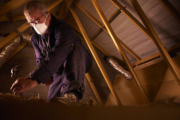 Best Commercial Insulation in Wilmer, TX