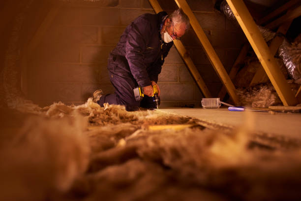 Best Specialty Insulation in Wilmer, TX